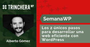 Los 2 únicos pasos para desarrollar una web eficiente con WordPress